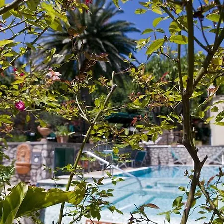 Hotel Sarah Capri