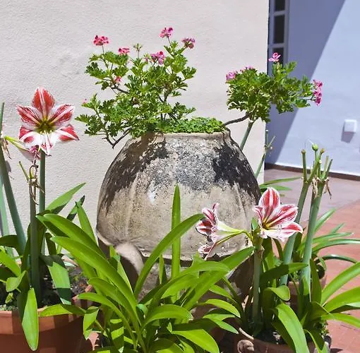 Отель Sarah Капри