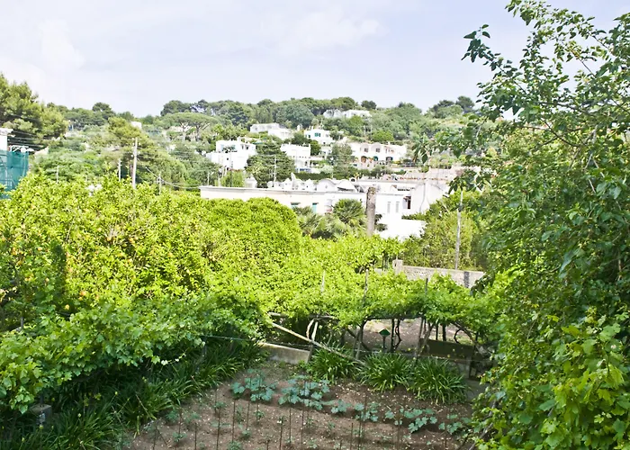 Sarah Отель Капри