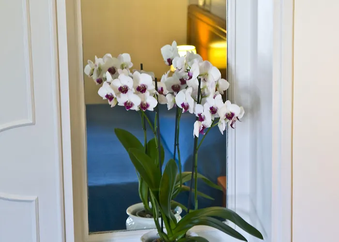 Sarah Отель Капри