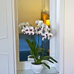 Sarah Hotel Capri